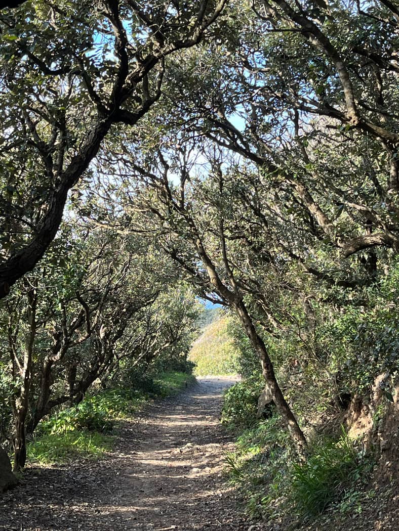 Hikes and walks